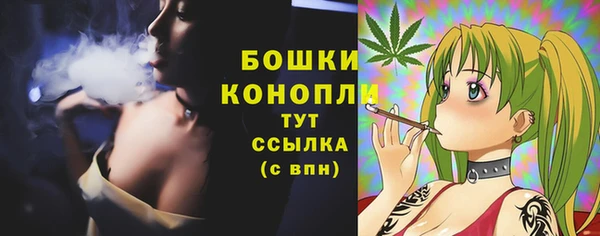ПСИЛОЦИБИНОВЫЕ ГРИБЫ Балахна